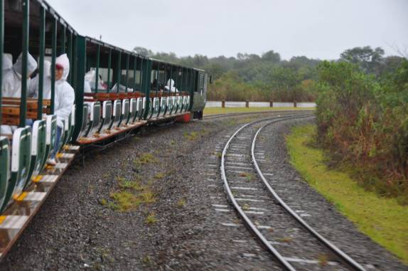 Trem que transporta turistas no parque das cataratas em Puerto Iguazu - Argentina